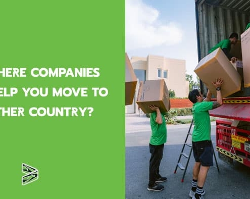 Are there companies that help you move to another country?